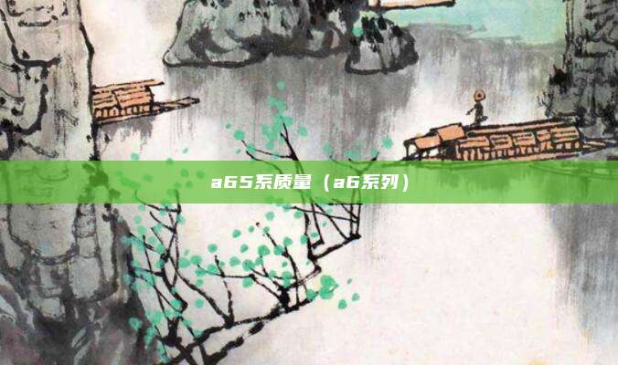 a65系质量（a6系列）