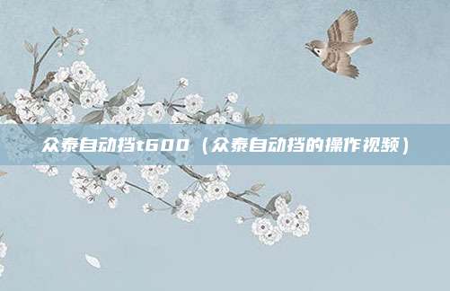 众泰自动挡t600（众泰自动挡的操作视频）