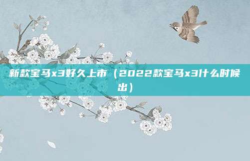 新款宝马x3好久上市（2022款宝马x3什么时候出）