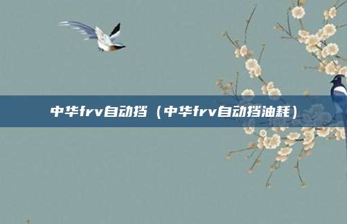 中华frv自动挡（中华frv自动挡油耗）
