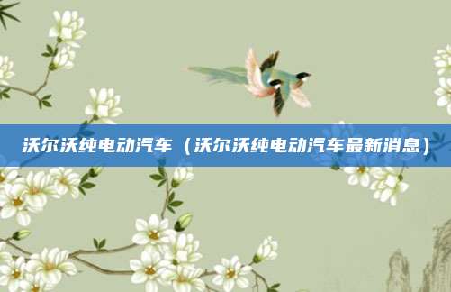 沃尔沃纯电动汽车（沃尔沃纯电动汽车最新消息）