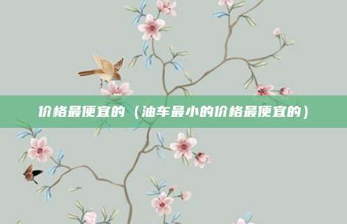 价格最便宜的（油车最小的价格最便宜的）