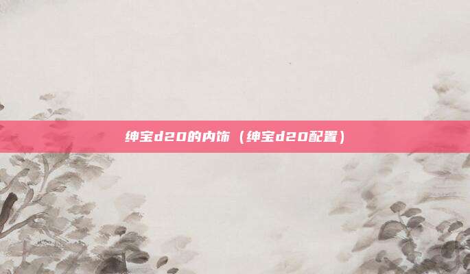 绅宝d20的内饰(绅宝d20配置)