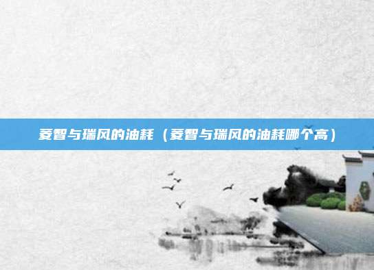 菱智与瑞风的油耗（菱智与瑞风的油耗哪个高）