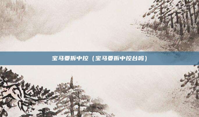 宝马要拆中控（宝马要拆中控台吗）