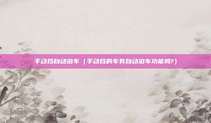 手动挡自动泊车（手动挡的车有自动泊车功能吗?）