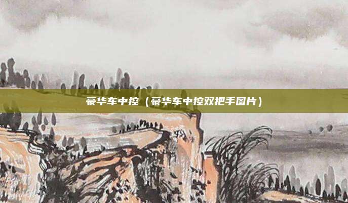 豪华车中控（豪华车中控双把手图片）