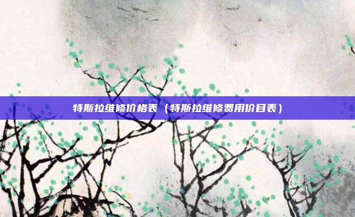 特斯拉维修价格表（特斯拉维修费用价目表）