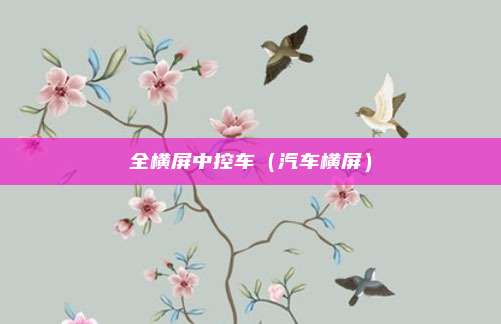 全横屏中控车（汽车横屏）