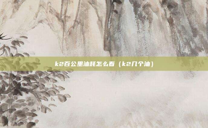k2百公里油耗怎么看(k2几个油)