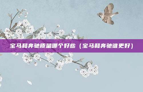 宝马和奔驰质量哪个好些(宝马和奔驰谁更好)