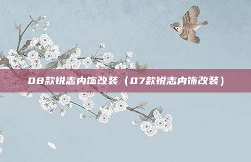 08款锐志内饰改装（07款锐志内饰改装）