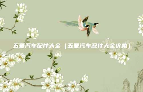 五菱汽车配件大全（五菱汽车配件大全价格）