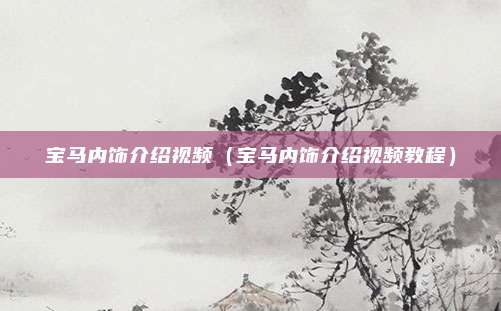 宝马内饰介绍视频（宝马内饰介绍视频教程）