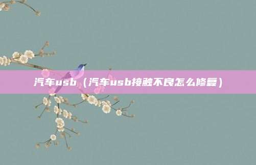 汽车usb（汽车usb接触不良怎么修复）