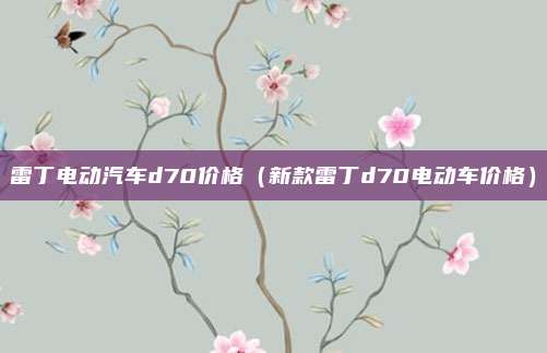 雷丁电动汽车d70价格(新款雷丁d70电动车价格)