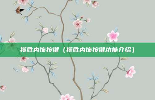 揽胜内饰按键（揽胜内饰按键功能介绍）