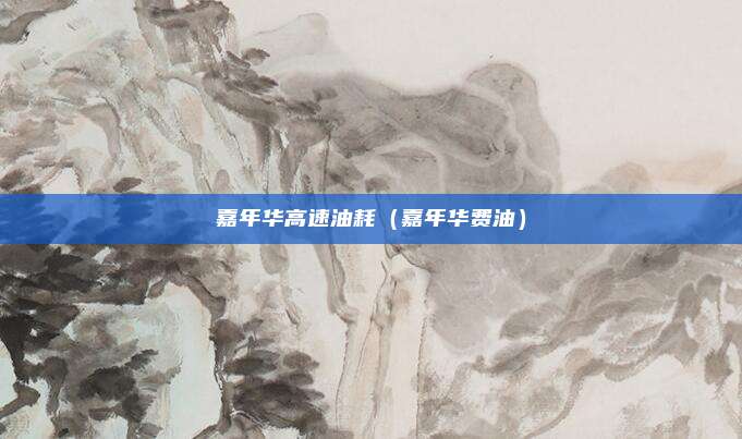 嘉年华高速油耗（嘉年华费油）