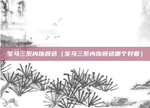 宝马三系内饰颜色（宝马三系内饰颜色哪个好看）