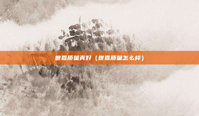 世嘉质量真好（世嘉质量怎么样）