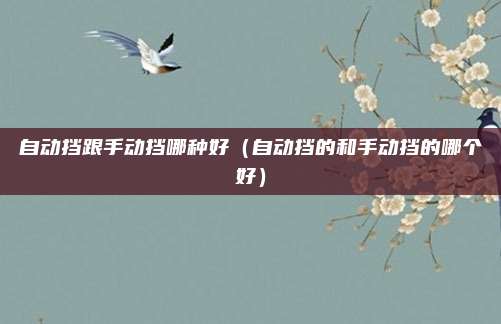 自动挡跟手动挡哪种好（自动挡的和手动挡的哪个好）
