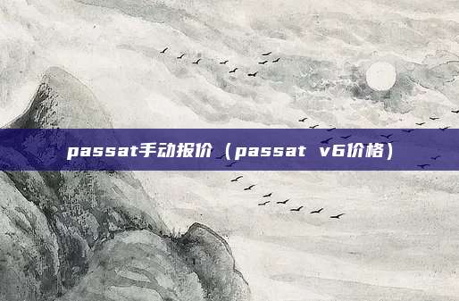 passat手动报价(passat v6价格)