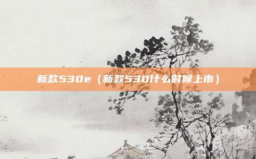 新款530e(新款530什么时候上市)