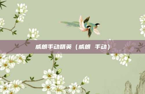威朗手动精英（威朗 手动）