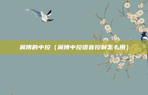 翼博的中控（翼博中控语音控制怎么用）