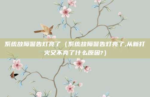 系统故障警告灯亮了（系统故障警告灯亮了,从新打火又不亮了什么原因?）