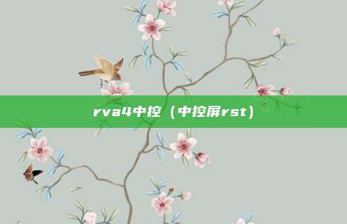 rva4中控（中控屏rst）