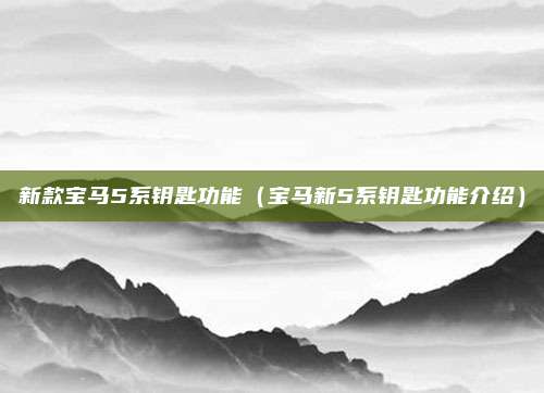 新款宝马5系钥匙功能（宝马新5系钥匙功能介绍）