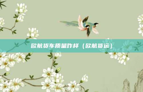 欧航货车质量咋样（欧航货运）