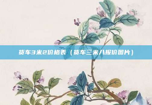 货车3米2价格表（货车三米八报价图片）