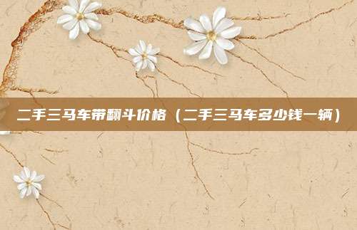二手三马车带翻斗价格（二手三马车多少钱一辆）