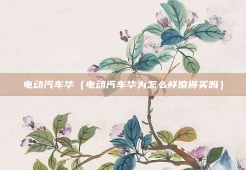 电动汽车华（电动汽车华为怎么样值得买吗）