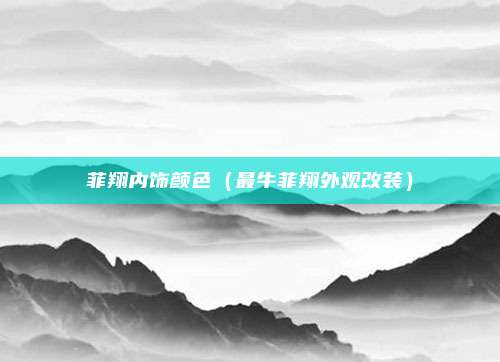 菲翔内饰颜色(最牛菲翔外观改装)