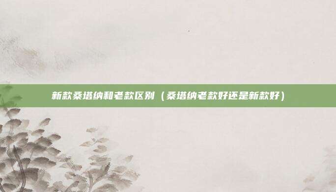 新款桑塔纳和老款区别(桑塔纳老款好还是新款好)