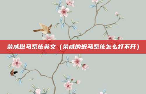 荣威斑马系统英文(荣威的斑马系统怎么打不开)