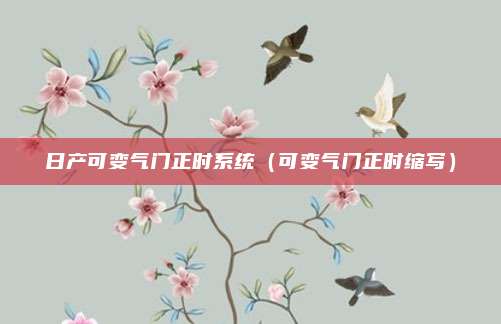 日产可变气门正时系统（可变气门正时缩写）