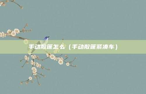 手动敞篷怎么（手动敞篷紧凑车）