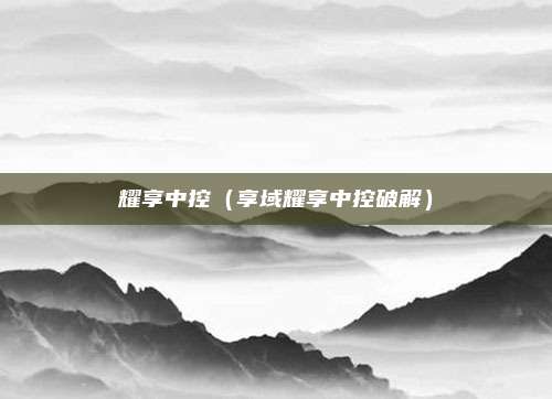 耀享中控（享域耀享中控破解）
