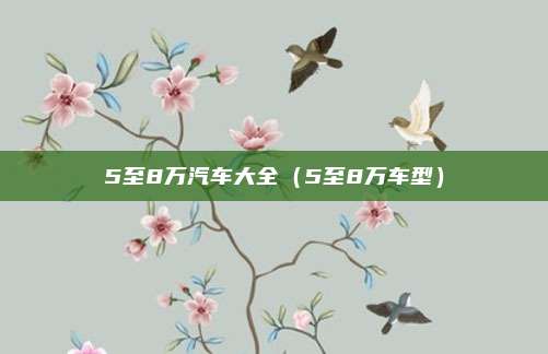 5至8万汽车大全(5至8万车型)