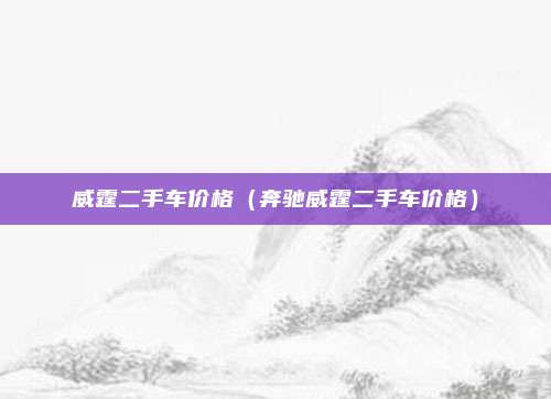 威霆二手车价格(奔驰威霆二手车价格)