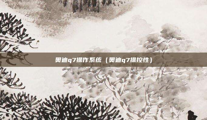 奥迪q7操作系统(奥迪q7操控性)