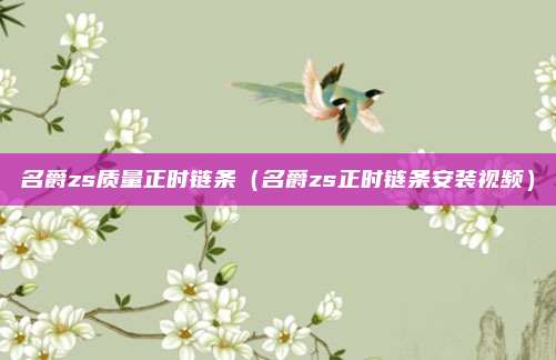 名爵zs质量正时链条(名爵zs正时链条安装视频)