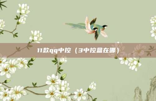 11款qq中控（3中控盒在哪）