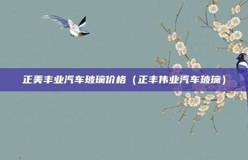 正美丰业汽车玻璃价格(正丰伟业汽车玻璃)