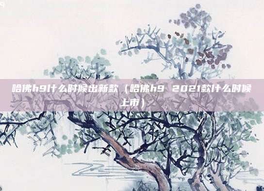 哈佛h9什么时候出新款（哈佛h9 2021款什么时候上市）