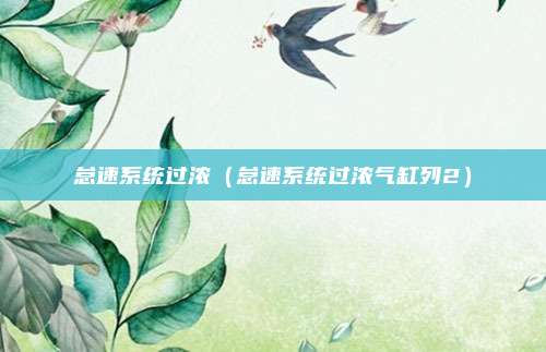 怠速系统过浓（怠速系统过浓气缸列2）